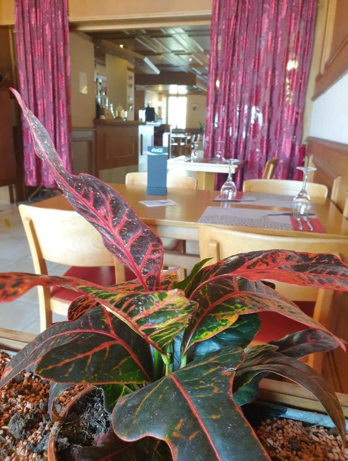 Hotel Lion D'Or 罗蒙 外观 照片